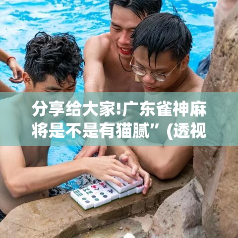 分享给大家!广东雀神麻将是不是有猫腻”(透视)开挂辅助脚本+详细开挂安装教程