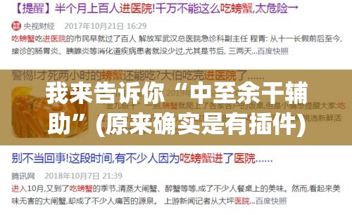 我来告诉你“中至余干辅助”(原来确实是有插件)