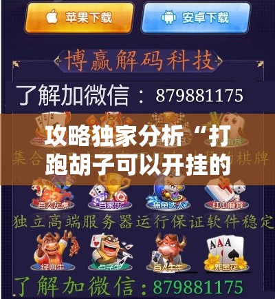 攻略独家分析“打跑胡子可以开挂的软件推荐”科技辅助神器手机版教程