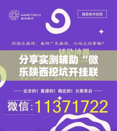 分享实测辅助“微乐陕西挖坑开挂联系方式”科技辅助神器手机版