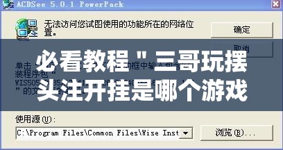 必看教程＂三哥玩摆头注开挂是哪个游戏”开挂辅助脚本+详细开挂安装教程
