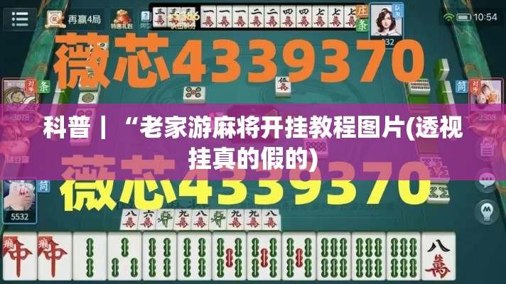 科普｜“老家游麻将开挂教程图片(透视挂真的假的)