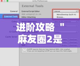 进阶攻略 ＂麻友圈2是不是有作弊的”附开挂脚本详细步骤