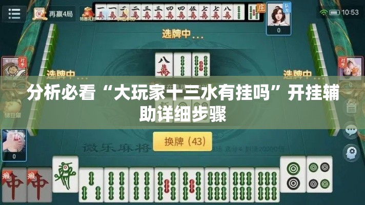 分析必看“大玩家十三水有挂吗”开挂辅助详细步骤
