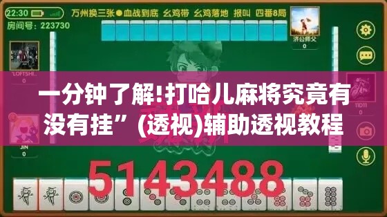 一分钟了解!打哈儿麻将究竟有没有挂”(透视)辅助透视教程