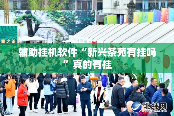 辅助挂机软件“新兴茶苑有挂吗”真的有挂