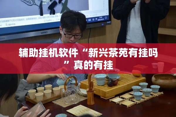 辅助挂机软件“新兴茶苑有挂吗”真的有挂