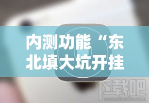 内测功能“东北填大坑开挂是不是真的”开挂科技辅助神器手机