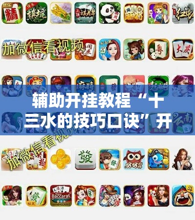 辅助开挂教程“十三水的技巧口诀”开挂辅助详细步骤