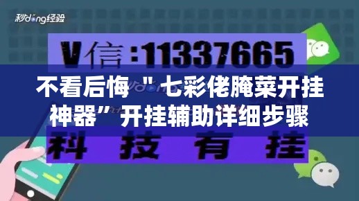 不看后悔 ＂七彩佬腌菜开挂神器”开挂辅助详细步骤