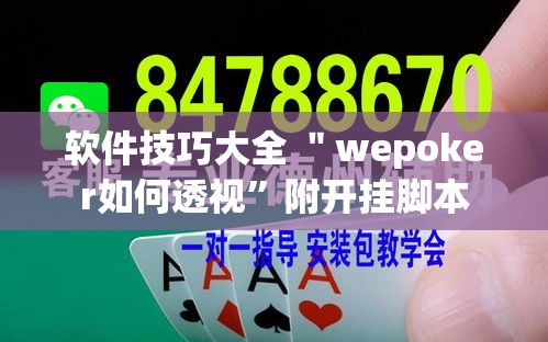 软件技巧大全 ＂wepoker如何透视”附开挂脚本