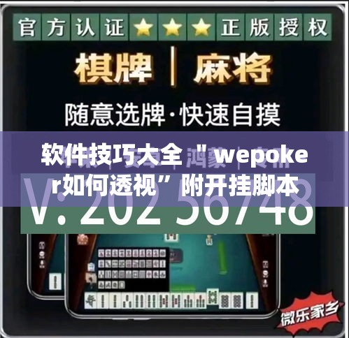 软件技巧大全 ＂wepoker如何透视”附开挂脚本