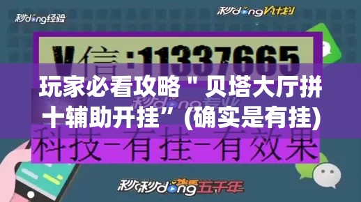 玩家必看攻略＂贝塔大厅拼十辅助开挂”(确实是有挂)知乎