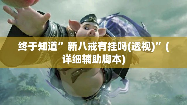 终于知道”新八戒有挂吗(透视)”(详细辅助脚本)