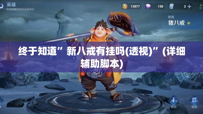 终于知道”新八戒有挂吗(透视)”(详细辅助脚本)