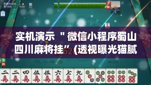 实机演示 ＂微信小程序蜀山四川麻将挂”(透视曝光猫腻)