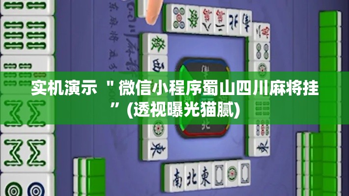 实机演示 ＂微信小程序蜀山四川麻将挂	”(透视曝光猫腻)