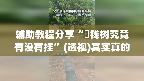 辅助教程分享“揺钱树究竟有没有挂”(透视)其实真的有挂