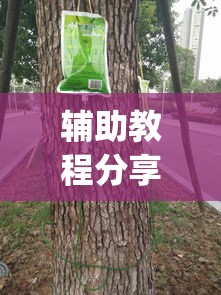辅助教程分享“揺钱树究竟有没有挂”(透视)其实真的有挂
