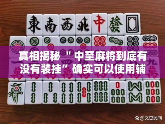 真相揭秘 ＂中至麻将到底有没有装挂	”确实可以使用辅助
