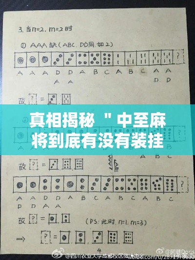 真相揭秘 ＂中至麻将到底有没有装挂”确实可以使用辅助