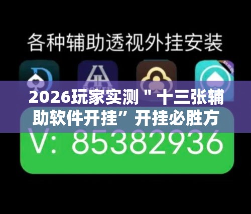 2026玩家实测＂十三张辅助软件开挂	”开挂必胜方法