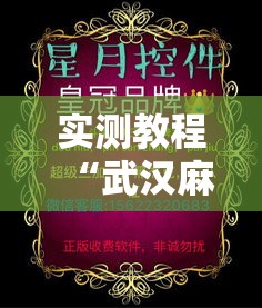 实测教程“武汉麻将外卦开挂辅助教程	”详细辅助透视