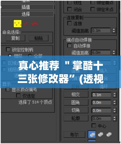 真心推荐 ＂掌酷十三张修改器	”(透视挂)辅助透视教程