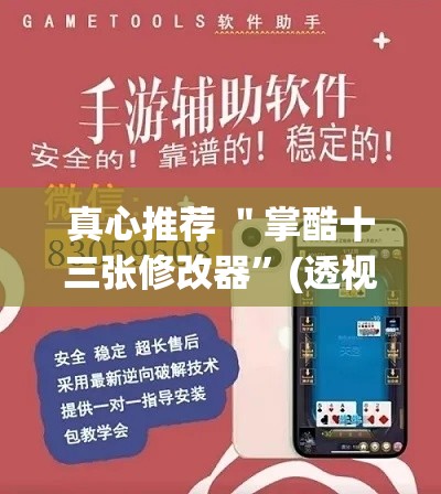 真心推荐 ＂掌酷十三张修改器”(透视挂)辅助透视教程