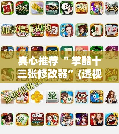 真心推荐 ＂掌酷十三张修改器”(透视挂)辅助透视教程