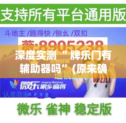深度实测 ＂牌乐门有辅助器吗”(原来确实是有插件)