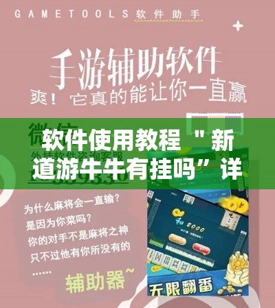 软件使用教程 ＂新道游牛牛有挂吗	”详细分享装挂步骤教程