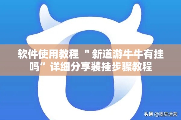 软件使用教程 ＂新道游牛牛有挂吗”详细分享装挂步骤教程