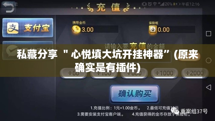 私藏分享 ＂心悦填大坑开挂神器”(原来确实是有插件)