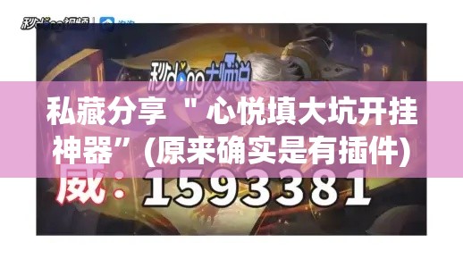 私藏分享 ＂心悦填大坑开挂神器”(原来确实是有插件)