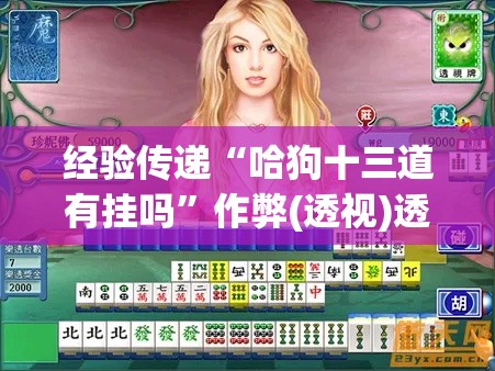 经验传递“哈狗十三道有挂吗”作弊(透视)透视辅助