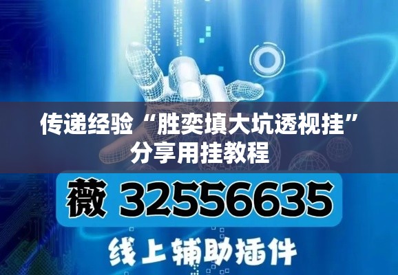 传递经验“胜奕填大坑透视挂”分享用挂教程
