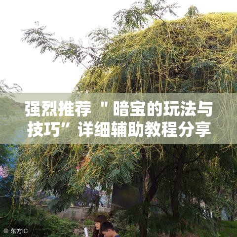 强烈推荐 ＂暗宝的玩法与技巧	”详细辅助教程分享