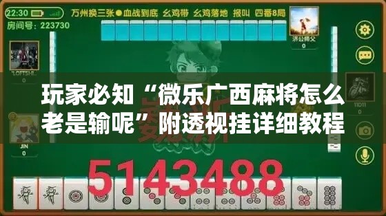 玩家必知“微乐广西麻将怎么老是输呢	”附透视挂详细教程