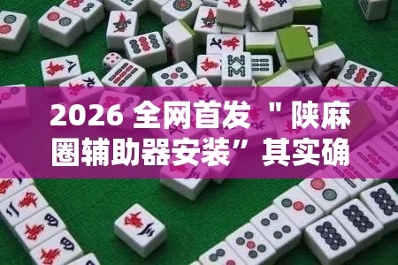 2026 全网首发 ＂陕麻圈辅助器安装”其实确实有挂