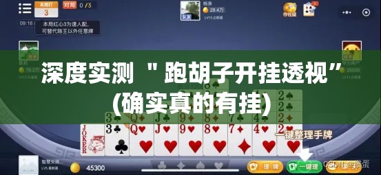 深度实测 ＂跑胡子开挂透视”(确实真的有挂)