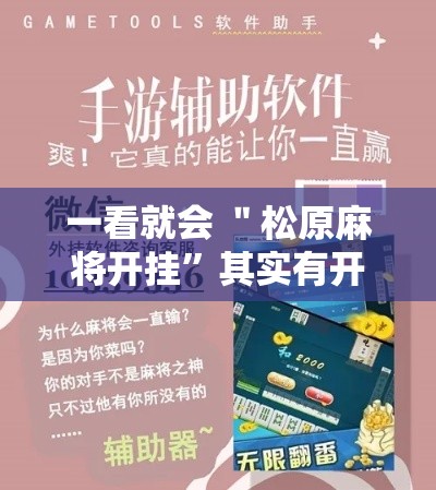 一看就会 ＂松原麻将开挂”其实有开挂插件!