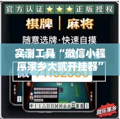 实测工具“微信小程序家乡大贰开挂器”(透视挂)详细用法教程