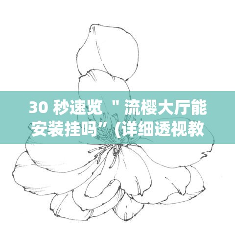 30 秒速览 ＂流樱大厅能安装挂吗”(详细透视教程)-