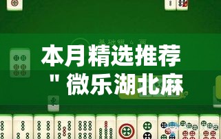 本月精选推荐 ＂微乐湖北麻将到底怎么开挂”原来可以开挂