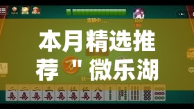 本月精选推荐 ＂微乐湖北麻将到底怎么开挂”原来可以开挂