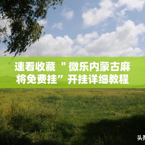 速看收藏 ＂微乐内蒙古麻将免费挂”开挂详细教程