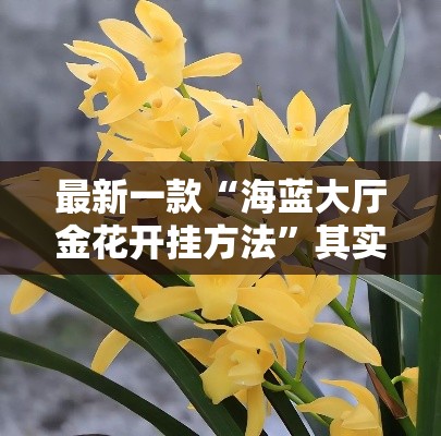 最新一款“海蓝大厅金花开挂方法”其实确实有挂