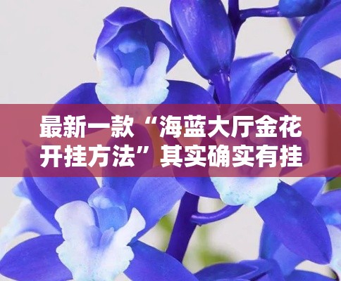 最新一款“海蓝大厅金花开挂方法”其实确实有挂