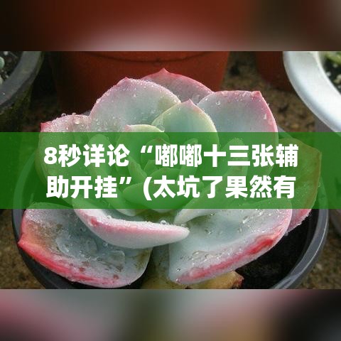8秒详论“嘟嘟十三张辅助开挂”(太坑了果然有挂)